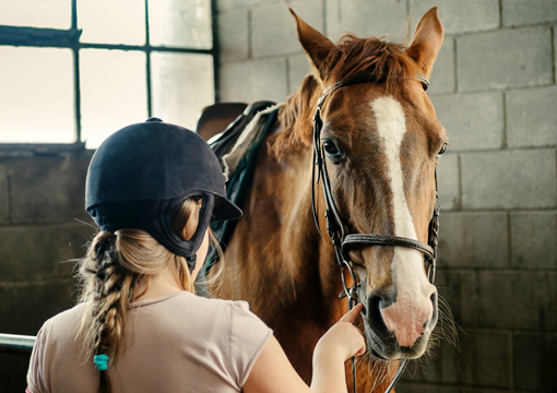 Corsi di equitazione a Chioggia